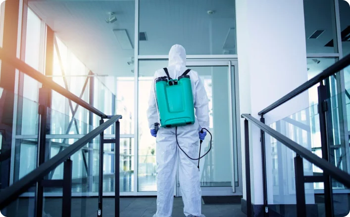 Dératisation à marrakech