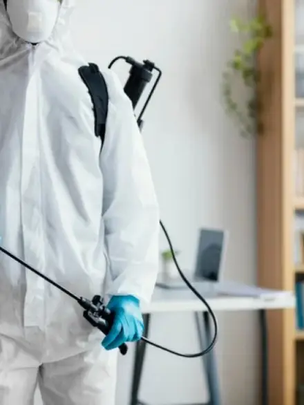 3D-PROTECT-MAROC-désinsectisation désinfection dératisation au maroc