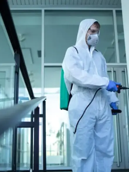 désinfection à marrakech