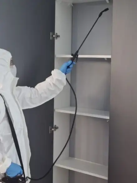 désinsectisation Essaouira