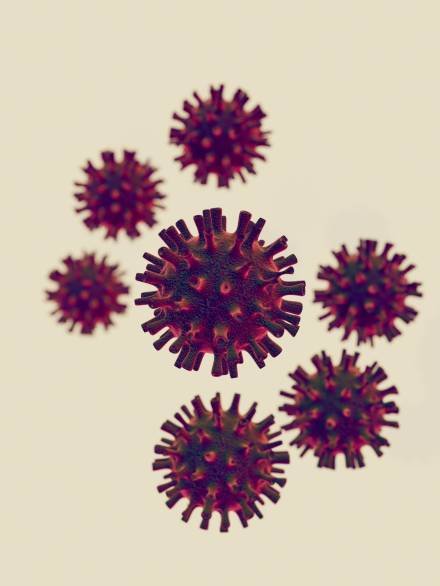 désinfection Marrakech